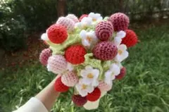 【月3名限定】いちごブランケット　ベビーフォト　フォト背景　ニューボーンフォト