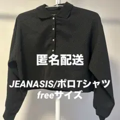 JEANASIS ヘリンボーンジャガードポロ ロンT シャツ 黒 ショート丈のサムネイル