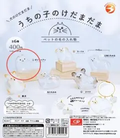 うちの子のけだまだま 犬のけだまだま ポメラニアン