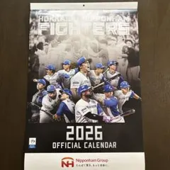 Item thumbnail for item 62df97f0-2247-4d6d-8072-4d3e975d0ef9