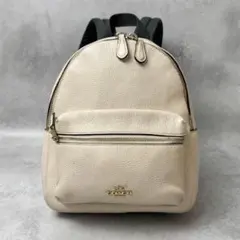 COACH バックパック リュック ベア ミニ チャーリー F22894 - メルカリ