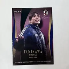 Item thumbnail for item 30f34b39-ec60-4541-8313-00e4792428e6