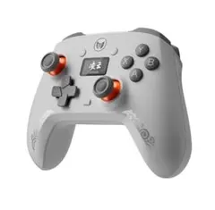 BIGBIG WON Aether コントローラー