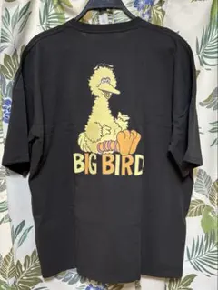【新品】セサミストリート BIG BIRD メンズ　Tシャツ BIG-T Mのサムネイル
