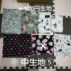 ポーチ中生地⑤ +100円生地
