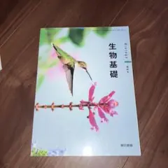 Item thumbnail for item b7242076-ab9a-4256-a2a9-41c68a90abd6