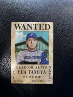 ファイターズワンピースステッカー　田宮裕涼
