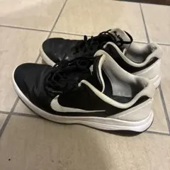 NIKE ゴルフシューズ ブラック ホワイト