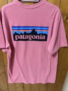 早い者勝ち‼️パタゴニア Tシャツ　サーモンピンクのサムネイル