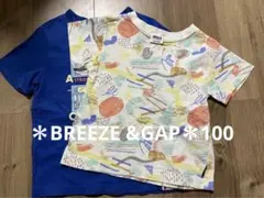BREEZE &GAPTシャツ2枚セット　100センチ