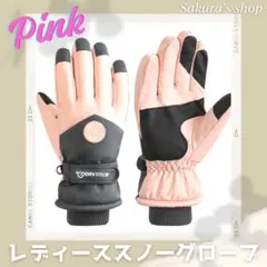 レディース スノーグローブ 防寒 防水 スキー スノーボード 冬 雪