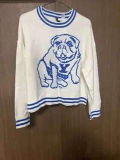 ディバイデッド H＆M ニット 犬柄 ブルドッグ柄 Lサイズ
