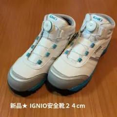 新品タグ付き★IGNIOイグニオ安全靴 24cmのサムネイル