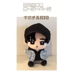 雪乃様専用オーダーページ　SnowMan すのチルBIG BIGぬい