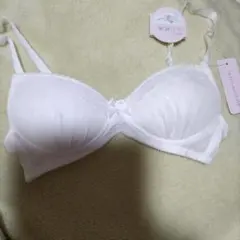 Item thumbnail for item bbfaf1c7-172d-4771-9b4c-fa41ed0304ed