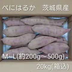 キャッサバ芋 箱込み20kg MANDIOCA CASSAVA【新鮮品質】 - メルカリ