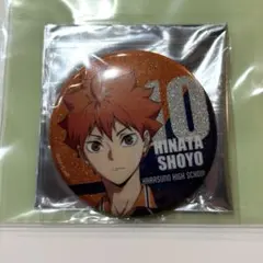 ハイキュー!! トレーディング缶バッジ 共闘 日向翔陽