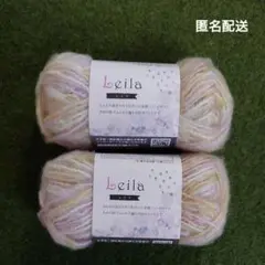 キャンドゥ レイラ 毛糸 4番 2玉②