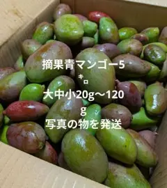 沖縄県産　青マンゴー　箱込み10キロ 沖縄県産 青マンゴー 箱込み10キロ - メルカリ
