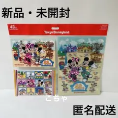 ディズニー ランド　43周年　ポストカード　クリアホルダー　クリアファイル