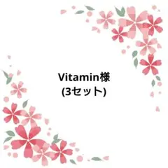 Vitamin様専用ページ