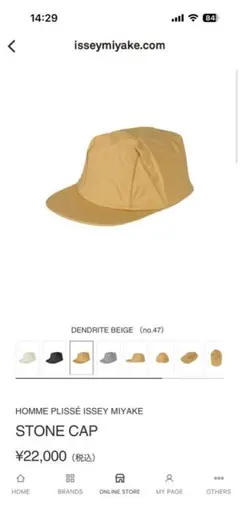 PLUIE 21SS Chain Mesh Hat プリュイメッシュハット PLUIE 21SS Chain Mesh Hat プリュイメッシュハット - メルカリ