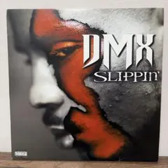 DMX / SLIPPIN' 12インチ アナログレコード
