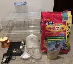 Item thumbnail for item 4492d0ad-489f-40f9-82a1-a5b72da2eedb