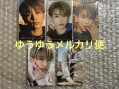 &TEAM D'PARTMENT HARUA 5枚セット