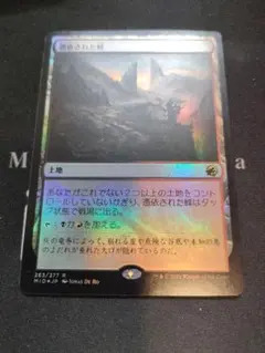 まとめ買い値引きします@のら様 リクエスト 2点 まとめ商品