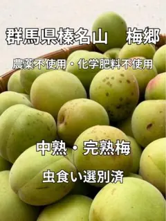 ⚫︎梅郷3キロ　梅　農薬不使用　化学肥料不使用　中熟〜完熟　梅酒　梅干しのサムネイル