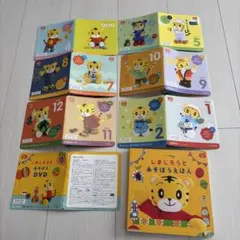 こどもちゃれんじ　ぷち　1.2歳向け　DVDセット 2021-2022年