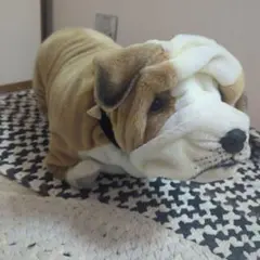 フレンチ ブルドッグ 犬 ぬいぐるみ リアル ソフト - メルカリ