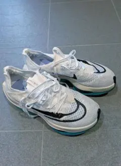 Item thumbnail for item 7a9b4477-7ead-4f30-aa16-50e1008b423b