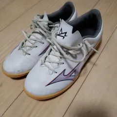 MIZUNO ALPHA 24cm フットサルシューズ