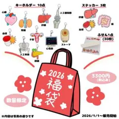 【即購入可能】福袋2026 臓器キーホルダー