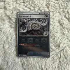 2025年最新】貝の化石 マスターボールの人気アイテム - メルカリ