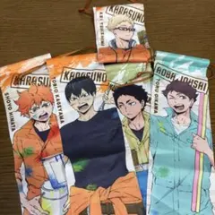 【バラ】ハイキュー!! ペイントスーツガーランドコレクション