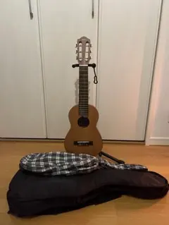ARIA クラシックギター G 30000 ハードケース付き 2025年最新