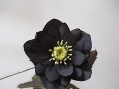 くまhime様 リクエスト 2点 まとめ商品