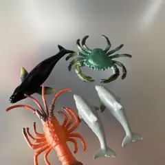 海洋生物フィギュアセット 5体