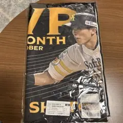 Item thumbnail for item 21005848-f50a-4642-a4a7-ac9efed44e04