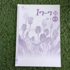 iワーク 中1 数学