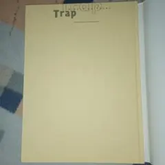 渡辺美奈代写真集「Trap」