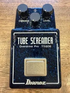 2026年最新】ts808 45thの人気アイテム - メルカリ