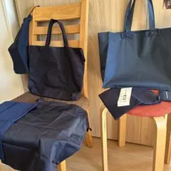 Item thumbnail for item 3d1d2577-1b81-4db5-84a3-dbb605f4818f