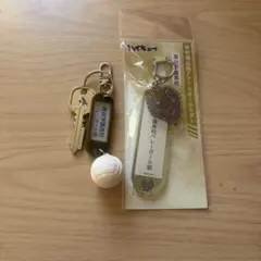 ハイキュー　鍵チャームキーホルダー 学校備品風アクリルキーホルダー　梟谷学園