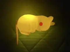 a.s様 リクエスト 2点 まとめ商品