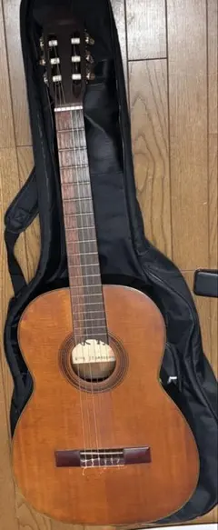 2025年最新】mizuno ギターの人気アイテム - メルカリ