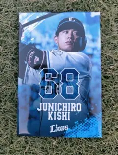 tokotan様 リクエスト 2点 まとめ商品